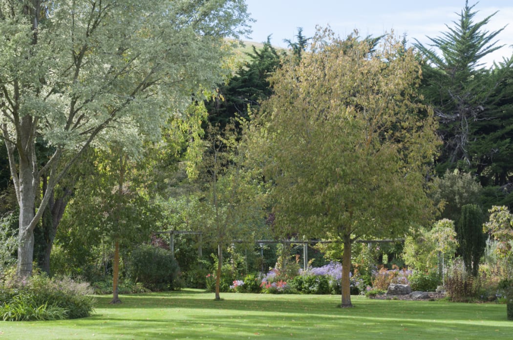 Frensham Garden