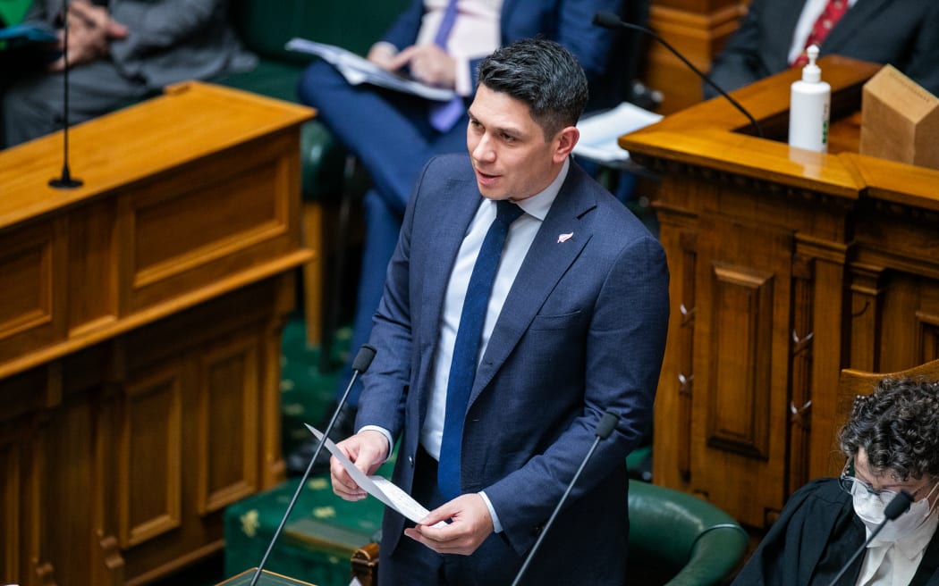 Participants during the 2025 Youth Parliament