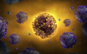 Visualization Of The Covid-19 Virus (Corona)