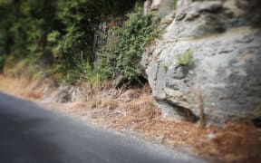 The entrance to the cave.