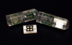 MIT researchers built an ingestible sensor equipped with genetically engineered bacteria that can diagnose bleeding in the stomach, and possibly other gastrointestinal ailments.