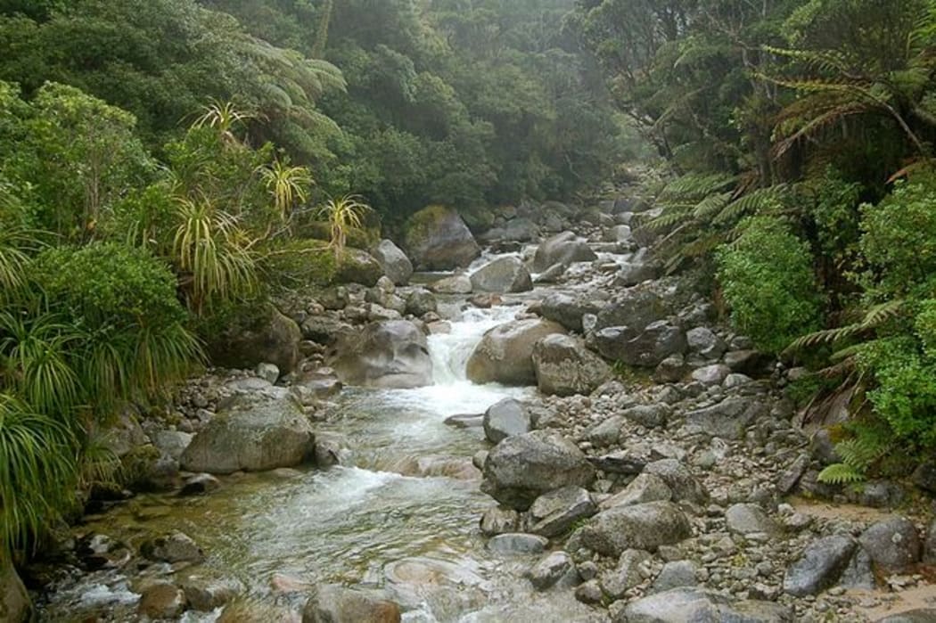 Stream