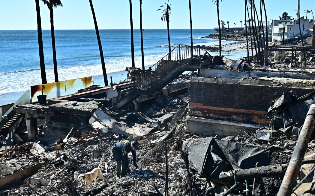 A cadaver dog, from the Los Angeles County Sheriff, sniffs through the rubble of beachfront properties destroyed by the Palisades Fire along the Pacific Coast Highway in Malibu, California on 12 January, 2025.