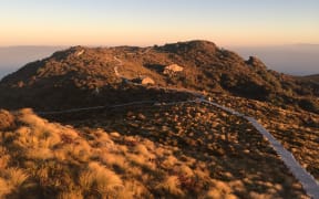 Hump Ridge Track.