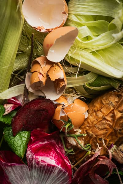A pile of food scraps, including egg shells, onion skin, baked potato jacket skin and corn husk.