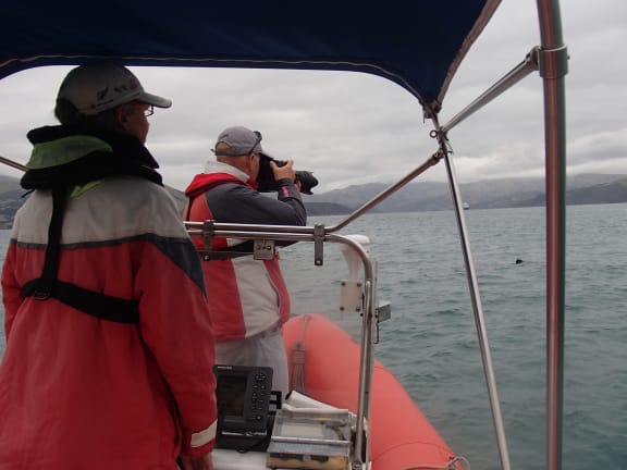 Two people on a small boat and a dolphin fin in the water nearby