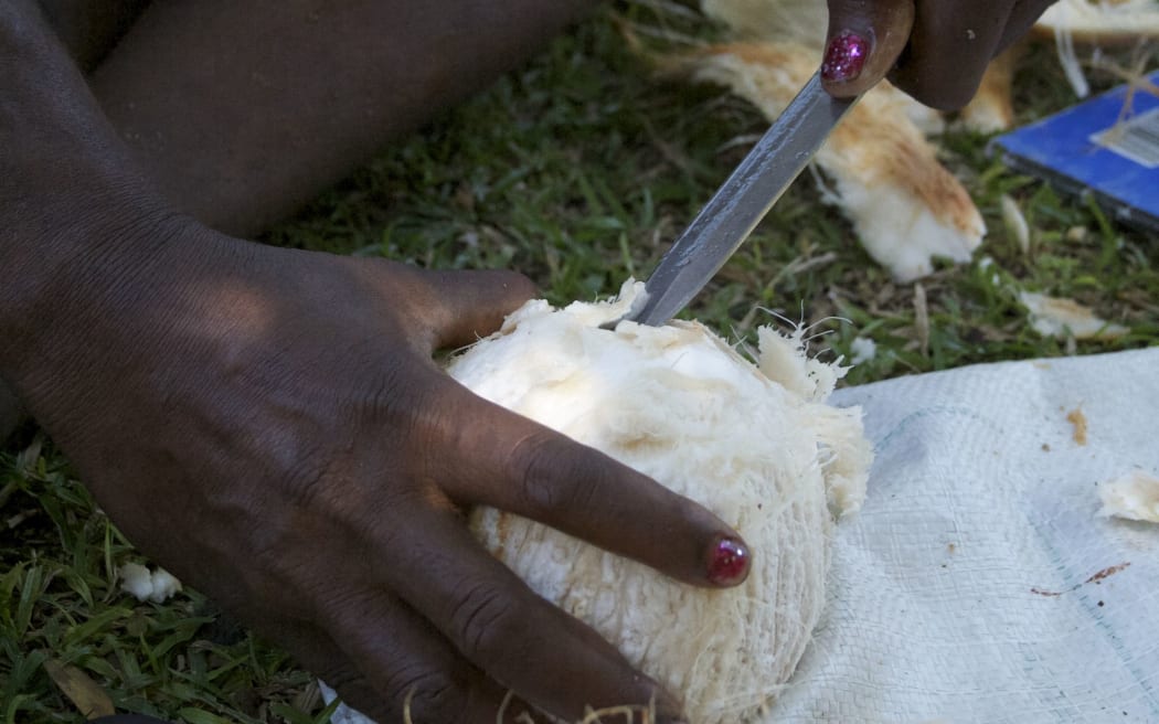 The coconut is an important source of livelihood and food security for many Pacific communities.