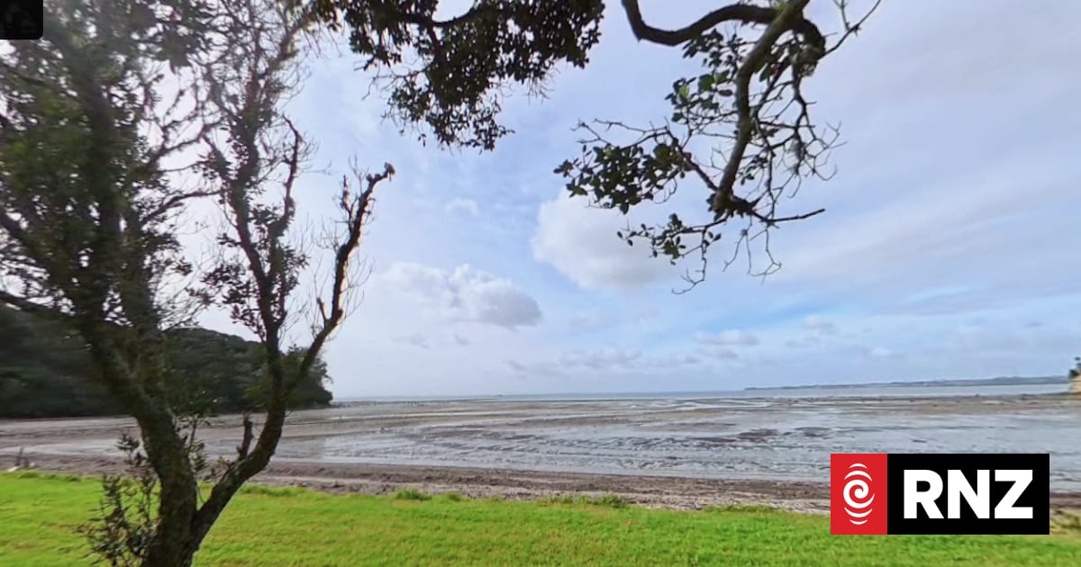 Search for missing kayaker near Auckland's Cornwallis Beach continues