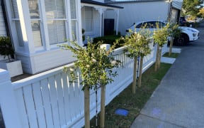 Already sporting camelias and a fence, the one metre wide strip has sparked debate