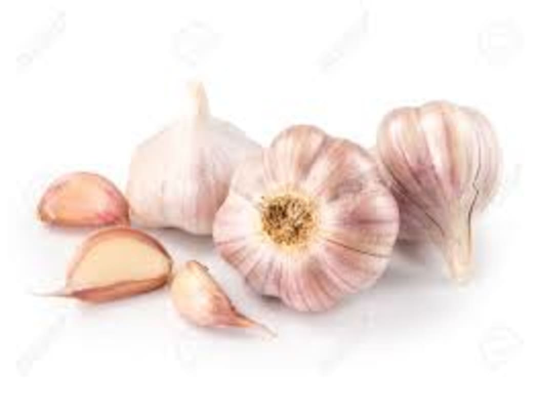 garlic