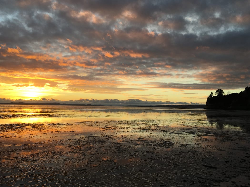 Eastern Beach in Auckland at sunrise with the tide out.