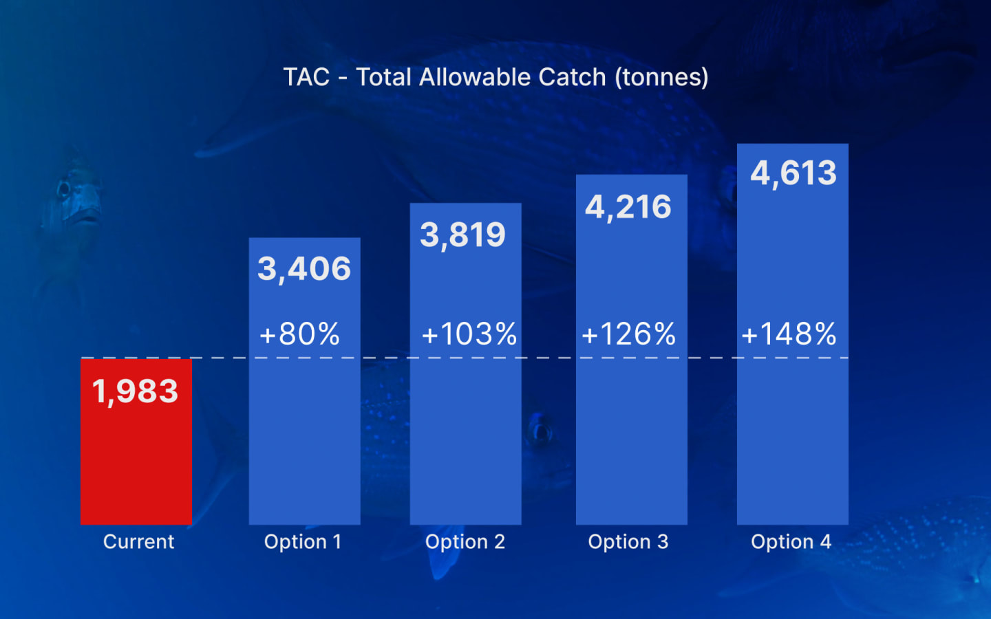 Snapper Total Allowable Catch proposed options
