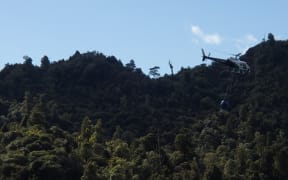 A helicopter with a bait bucket underneath flies over the Tongariro Conservation Area, where 1080 is regularly used to protect kiwi and whio