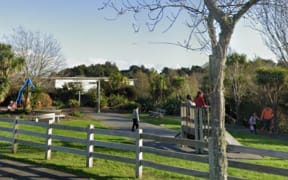 The playground at Mission Heights Reserve in Flat Bush.