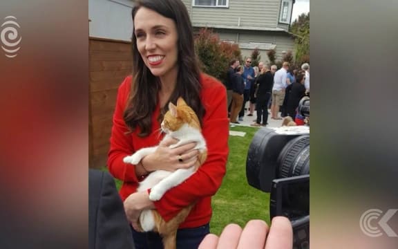 SPCA donations increase six fold after First Cat Paddles' death