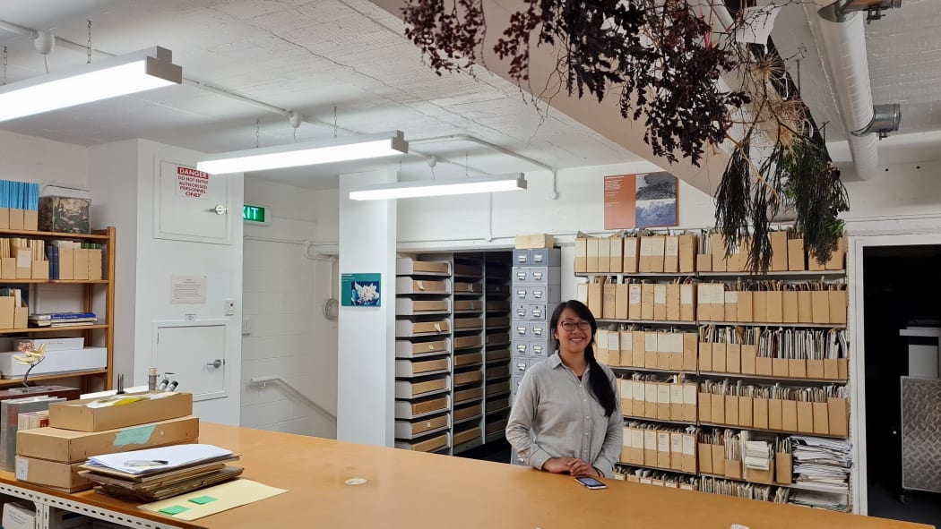 Yumiko Baba, Associate curator of Botany, Auckland Museum