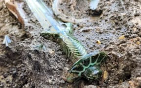 The bronze sword had an octagonal hilt, and while archaeologists did not find evidence the blade had been used 'in anger', it appears to have been designed as a functional sword.