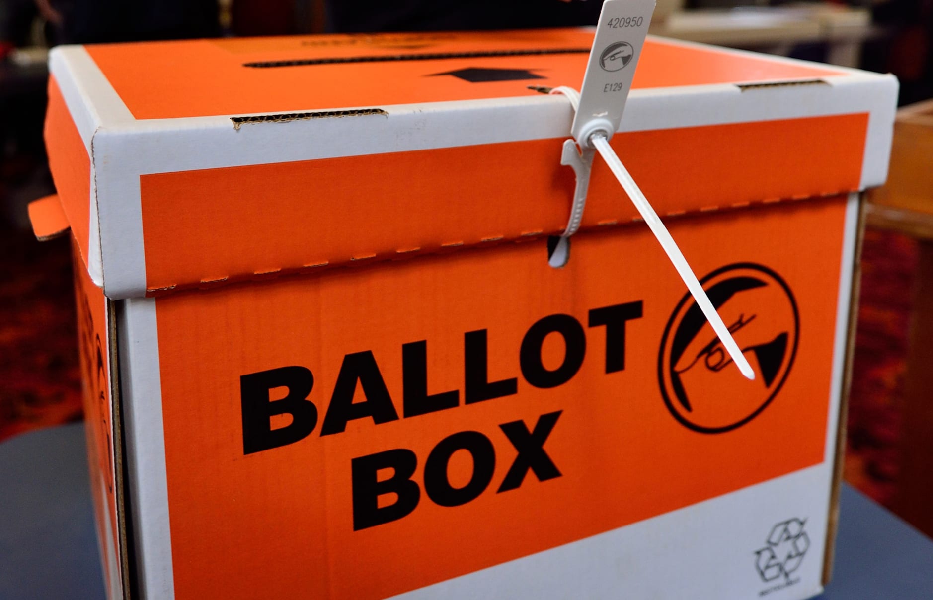 A man casts his vote in the 2014 General Election (file photo)