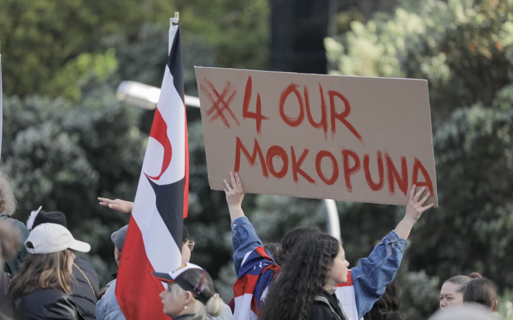 National Māori Action Day - Te Pāti Māori-organised protests in Wellington.