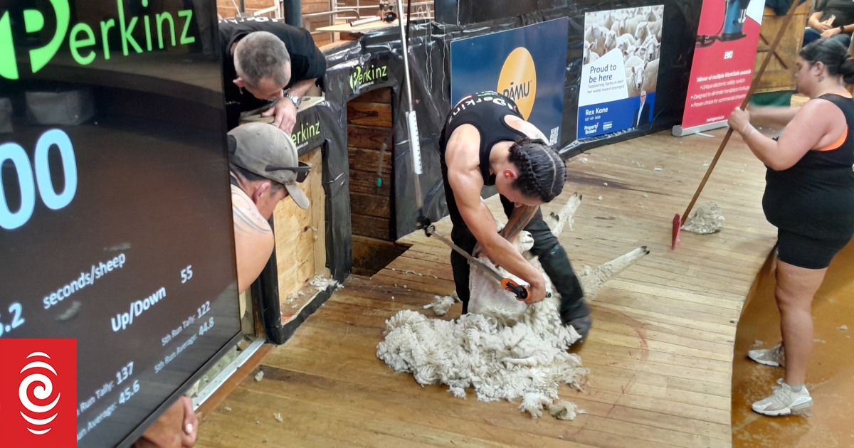 King Country shearer breaks wool lamb shearing world record - Vimarsana News
