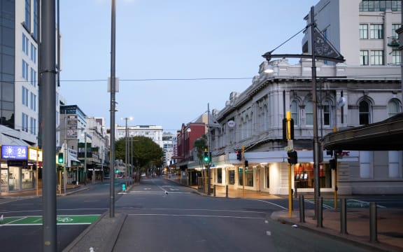 Wellington on 26 March, the first day of the Covid-19 lockdown.