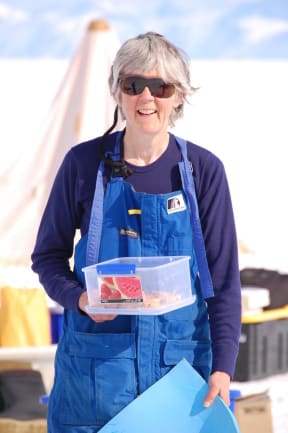 Emeritus Professor Pat Langhorne in Antarctica