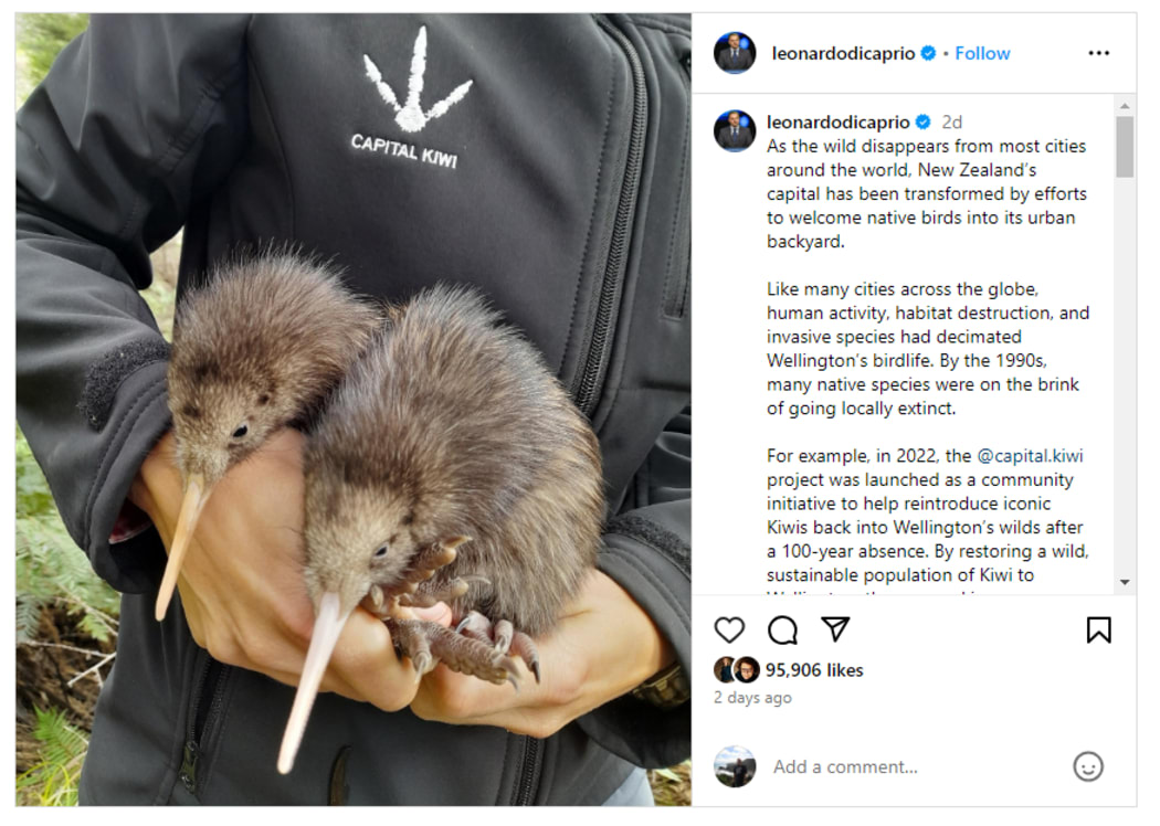 Leonardo DiCaprio posted on his Instagram about the Capital Kiwi project in Wellington.
