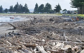 Logs from April rain event on Waikanae -
