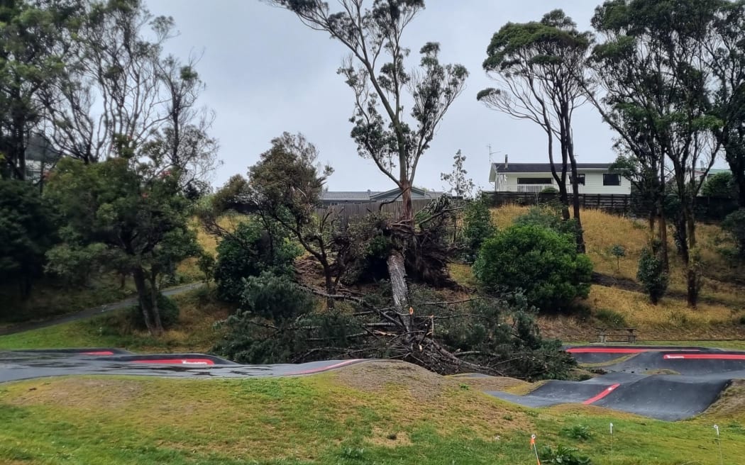Tree down on the pump track on Postgate Drive.