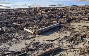 Slash strewn over the Uawa River mouth in Tolaga Bay.