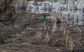 A boy walks in a maize field destroyed by floods in Chikwawa district, Southern Malawi, on March 15, 2019.