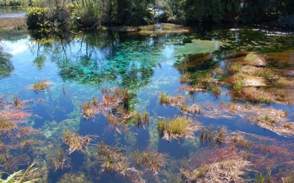 Waikoropūpū Spring.