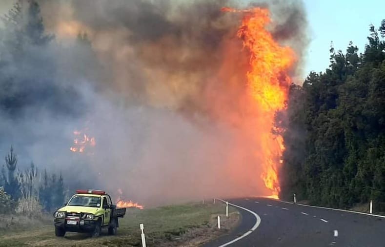 The wildfire crossed State Highway 25, leading to closure of the road between Whangamata and Hikuai.