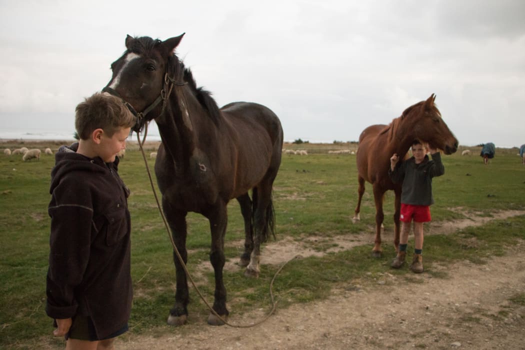 Tom and Charlie James with their ponies. The family took six months to find a new home after Hadleigh Station was sold.