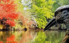 A pond left behind by the quarrying is now a beautiful oasis.