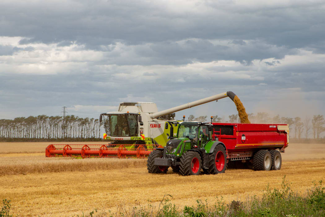 Dorie, Canterbury, New Zealand - January 19 2019: A combine harvester unloads barley into the bins in a field in summertime