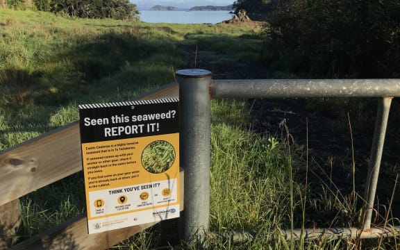 A new sign of the times at Omākiwi Cove, Bay of Islands.
