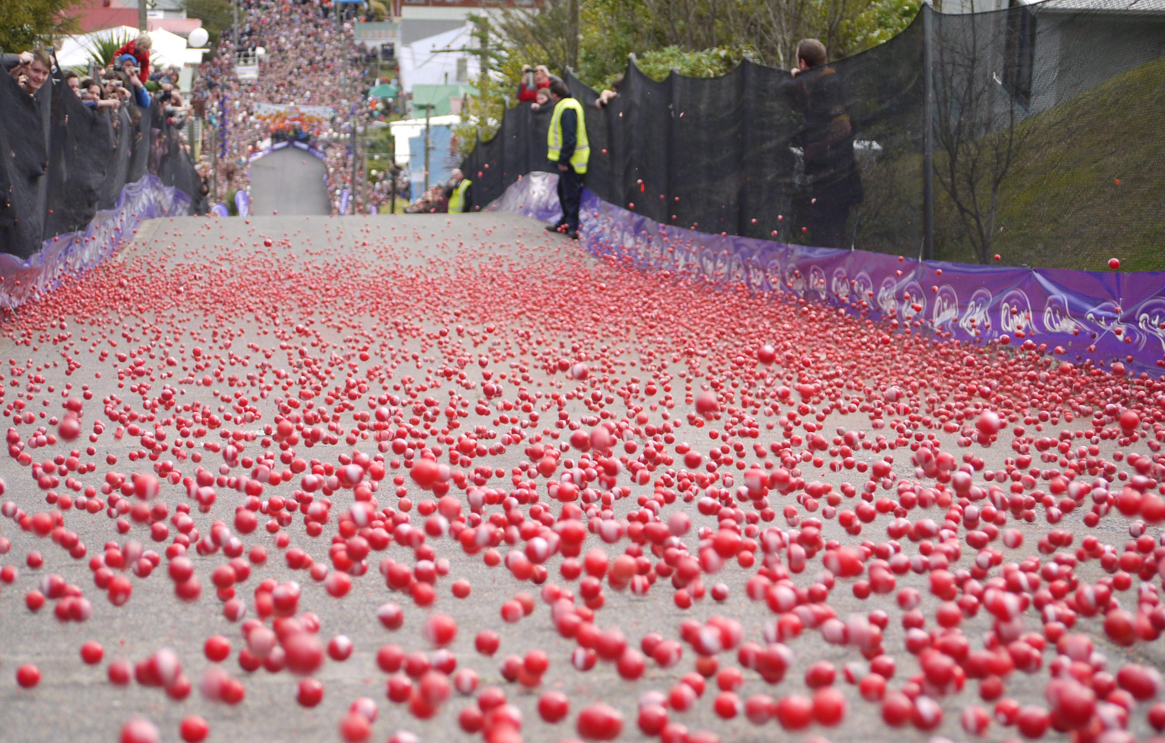 A photo from Dunedin's 2010 Jaffa race
