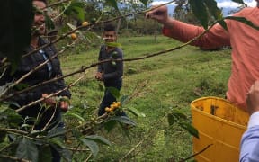 Image from Thanks A Thousand: A Gratitude Journey by AJ Jacobs