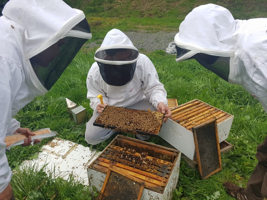 Beekeeping