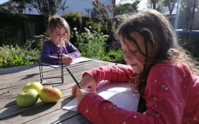 Anoushka, 6, and her sister Frieda, 4, learning from home in Dunedin.