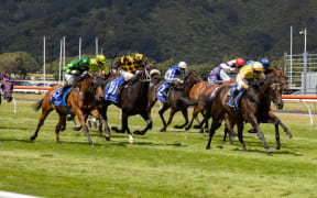 Force of Will (R ridden by Craig Grylls wins the  New Zealand Blood Stock Desert Gold Stakes race during the Wellington Cup horse racing at Trentham Racecourse in Wellington on 31 January 2021.