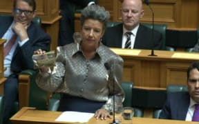 Paula Bennett in the House of Parliament with 14 grams of a cannabis lookalike.