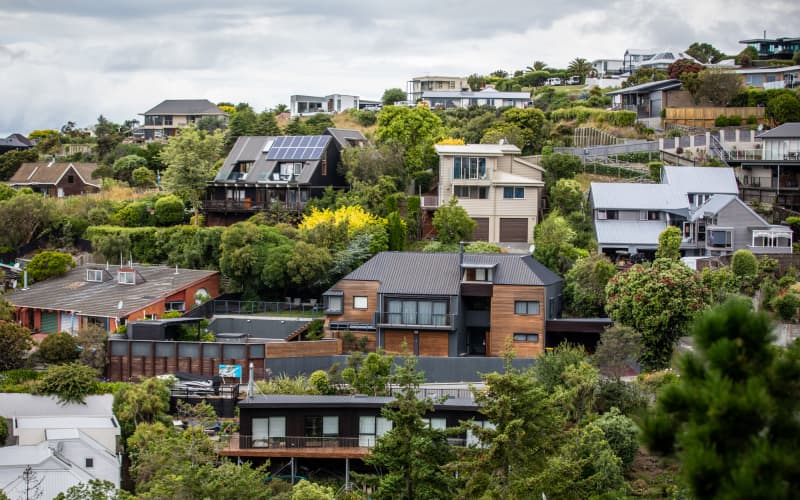 NZ has a $2.5b building defect problem: Will self‑certification make it ...