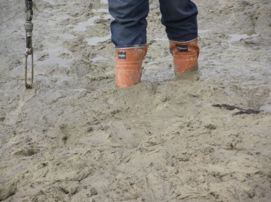 Dairy effluent at a farm run by Clear Ridge Station Ltd.
