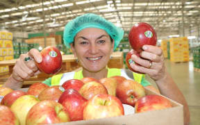 Heidi Stiefel with compostable apple Stickers