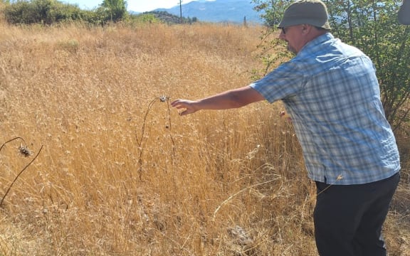 Seed hunter Zane Webber examining potential specimens during the seed collecting mission in Albania.