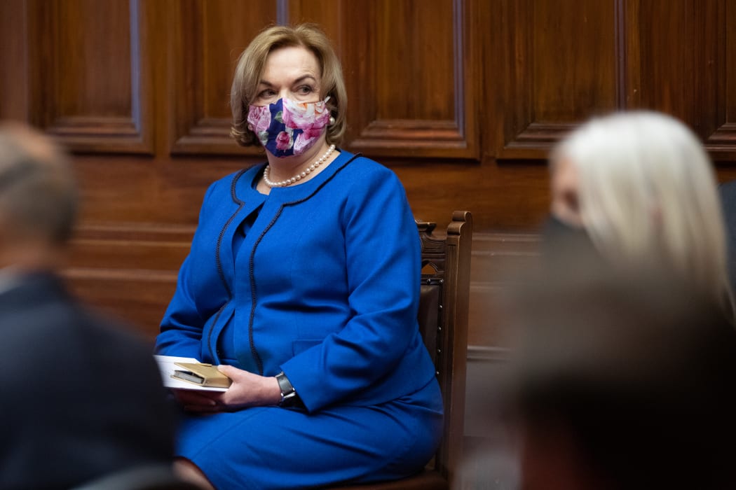 The Leader of the Opposition Judith Collins raises an eyebrow