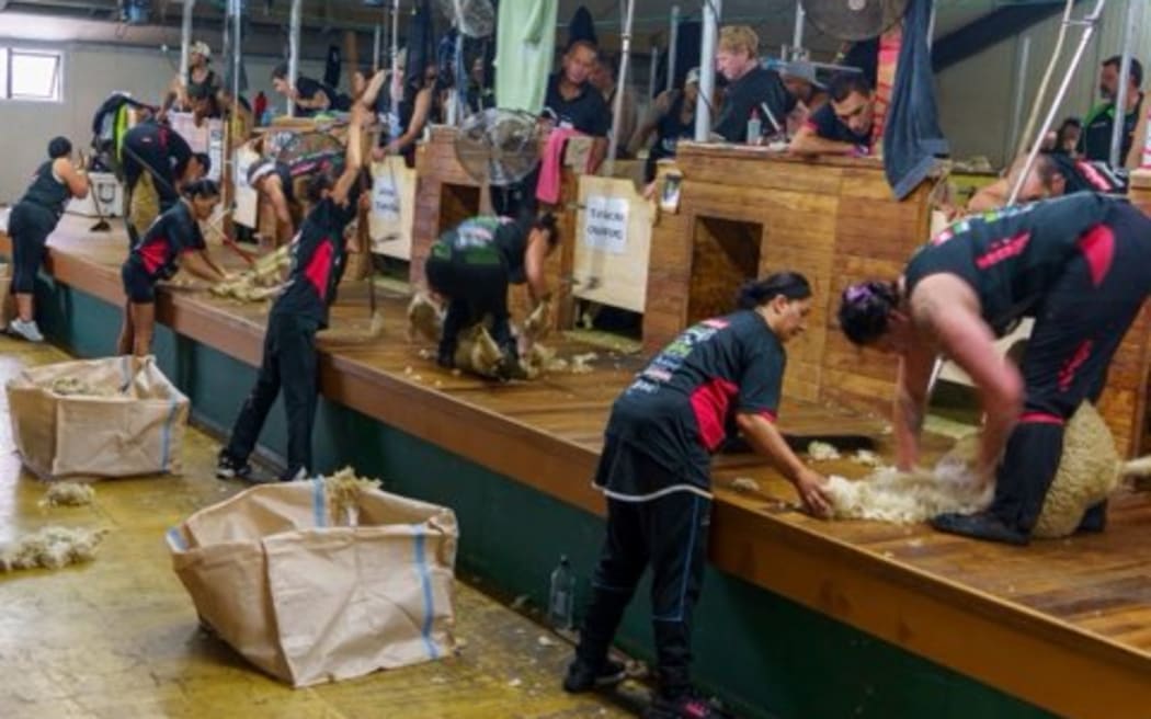 Rose Lewis, Ariana 'Missy' Te Whata, Te Atakura Crawford and Pagan Rimene set the four-stand women's eight-hours strongwool lamb record, shearing 1938 lambs at Melrose Station, near Owaka.