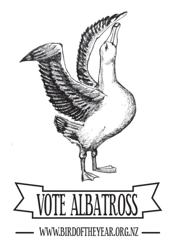 Vote Albatross campaign poster for the Bird of the Year competition